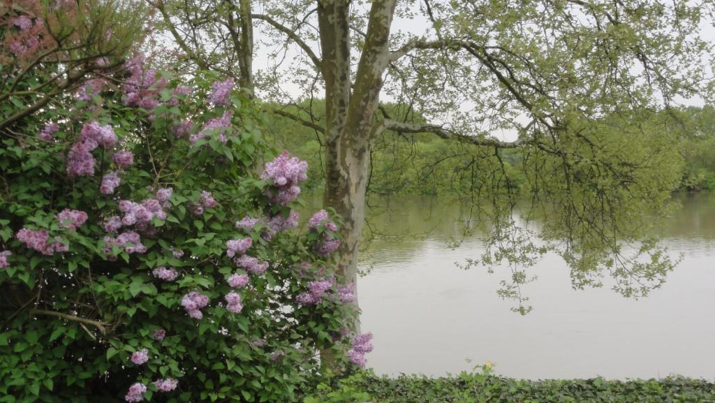 Saint-Martin-Belle-Roche Chambre D'Hotes Au Fil De L'Eau المظهر الخارجي الصورة